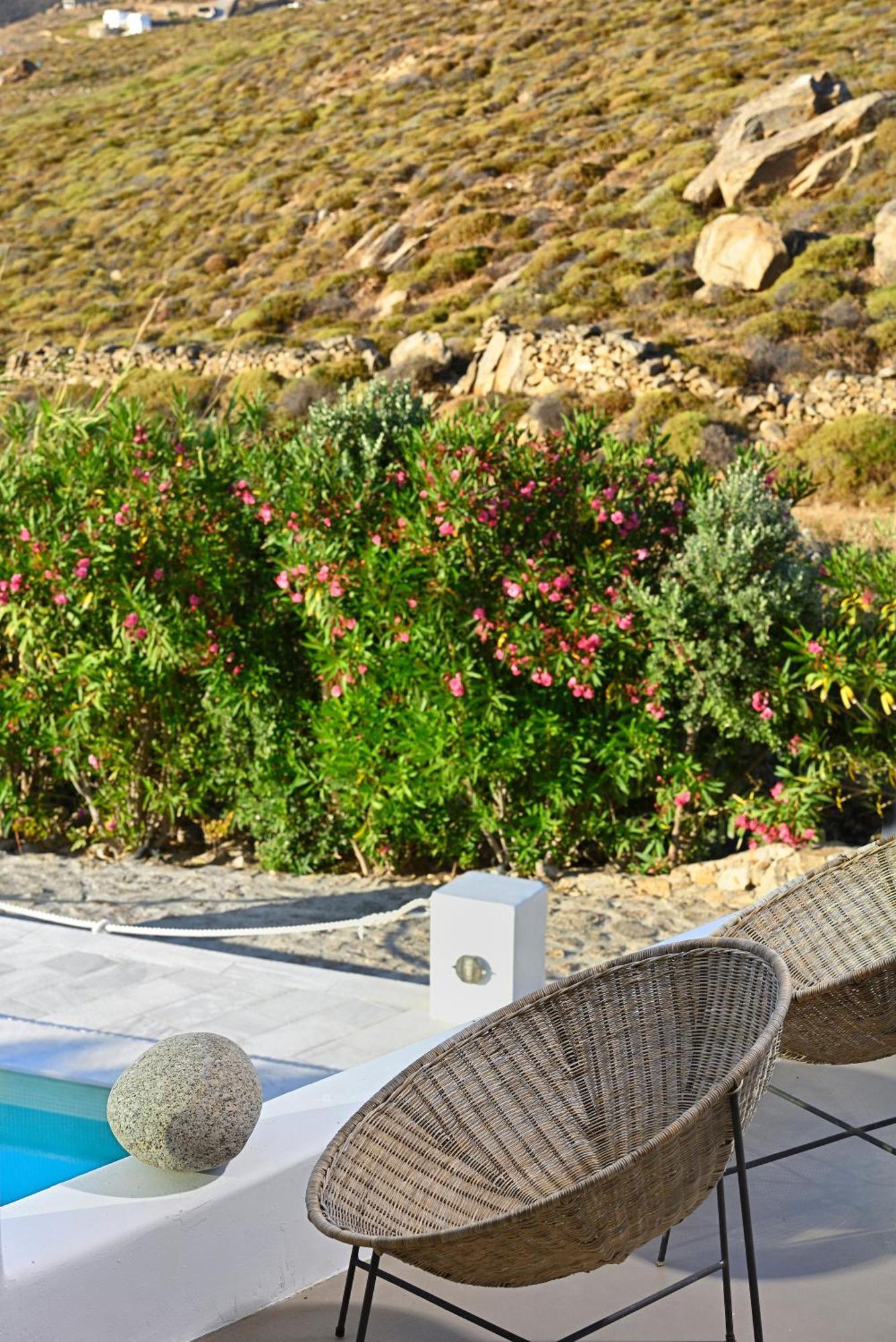 Mykonos Dream Villas Ftelia  Dış mekan fotoğraf